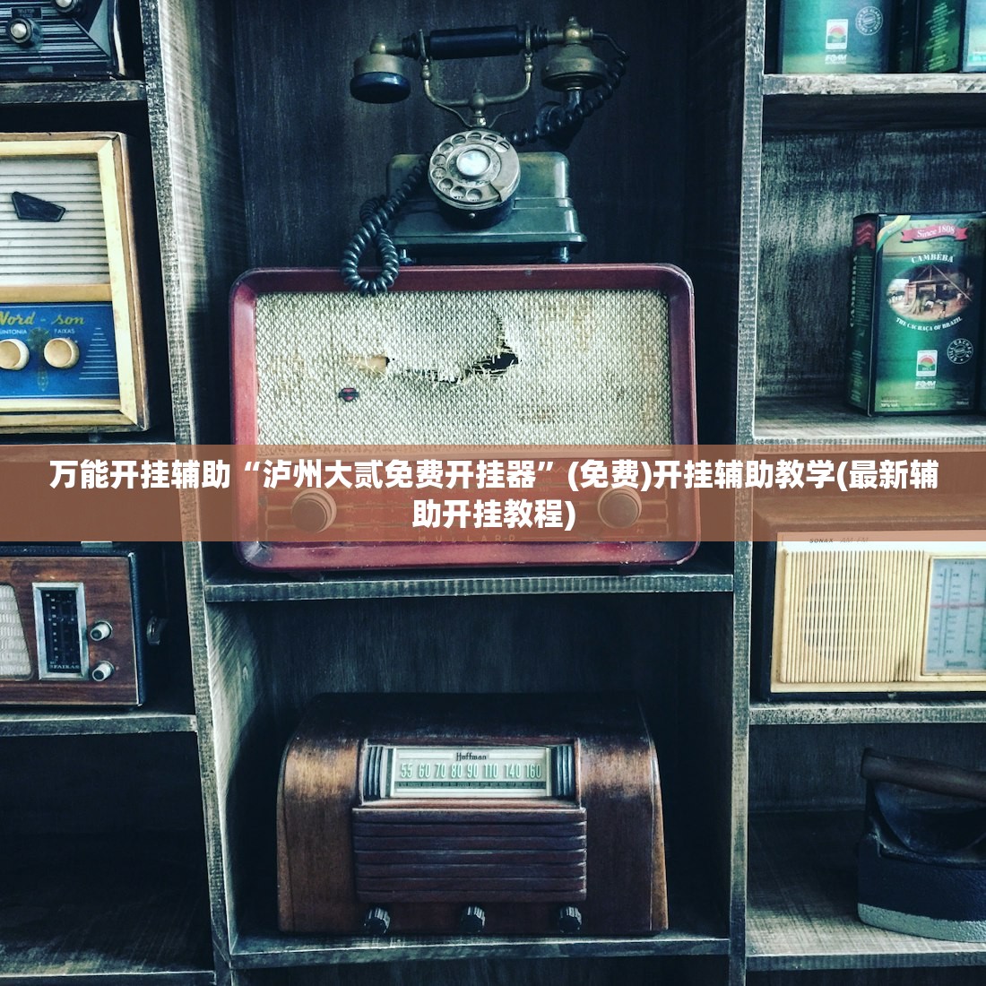 万能开挂辅助“泸州大贰免费开挂器”(免费)开挂辅助教学(最新辅助开挂教程)