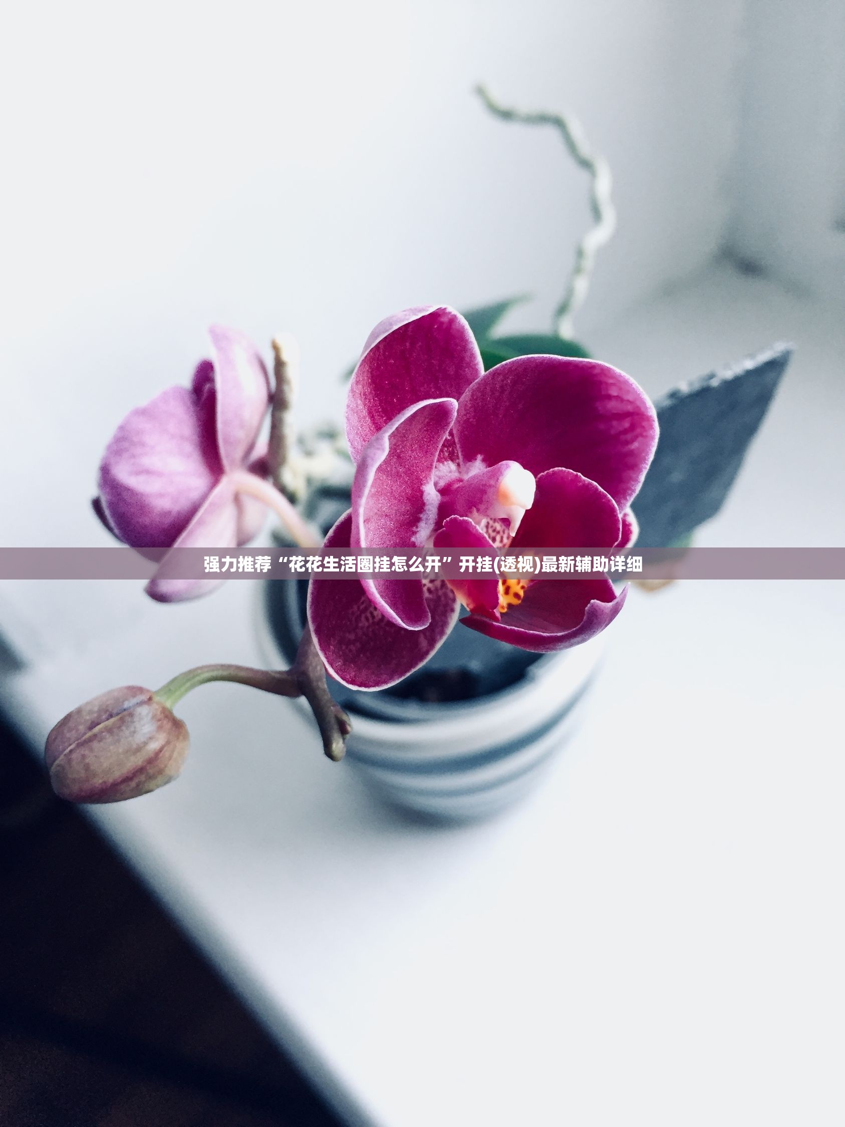 强力推荐“花花生活圈挂怎么开”开挂(透视)最新辅助详细